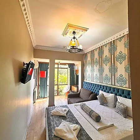 Golden Palace - Sultanahmet 호텔 3*