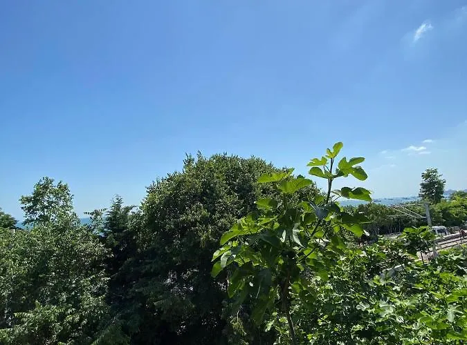 Golden Palace Sea View 3*