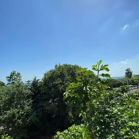 Golden Palace Sea View 3*