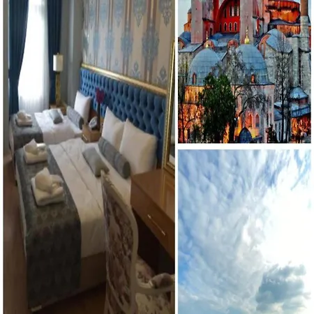 Golden Palace Sea View فندق