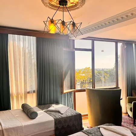 Golden Palace - Sultanahmet 호텔 3*